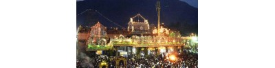 236. திருவண்ணாமலை